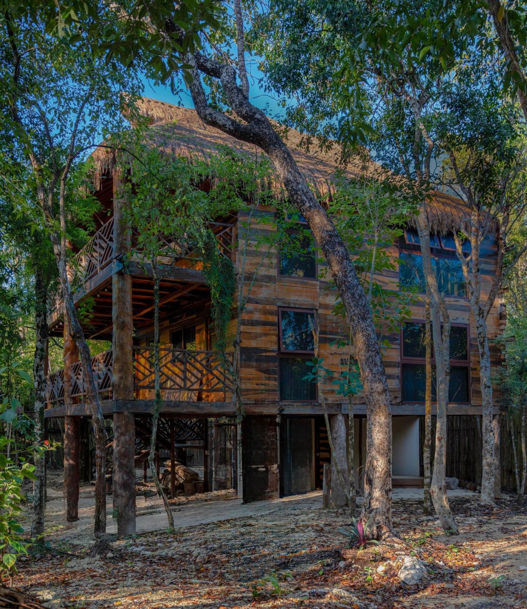 Campsite Treehouse H2ojos Tulum