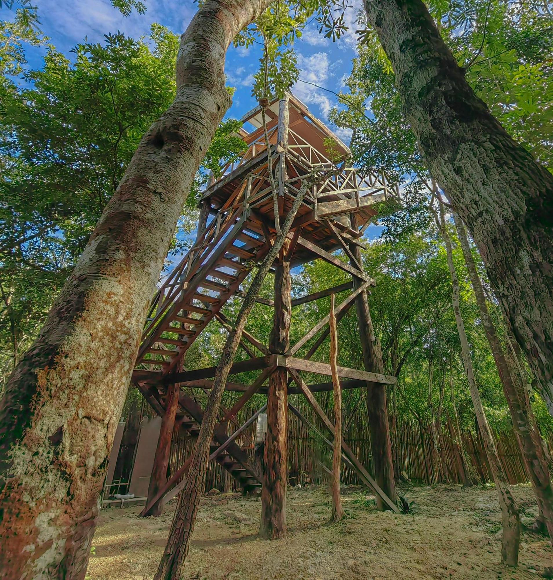 Campsite Treehouse H2ojos