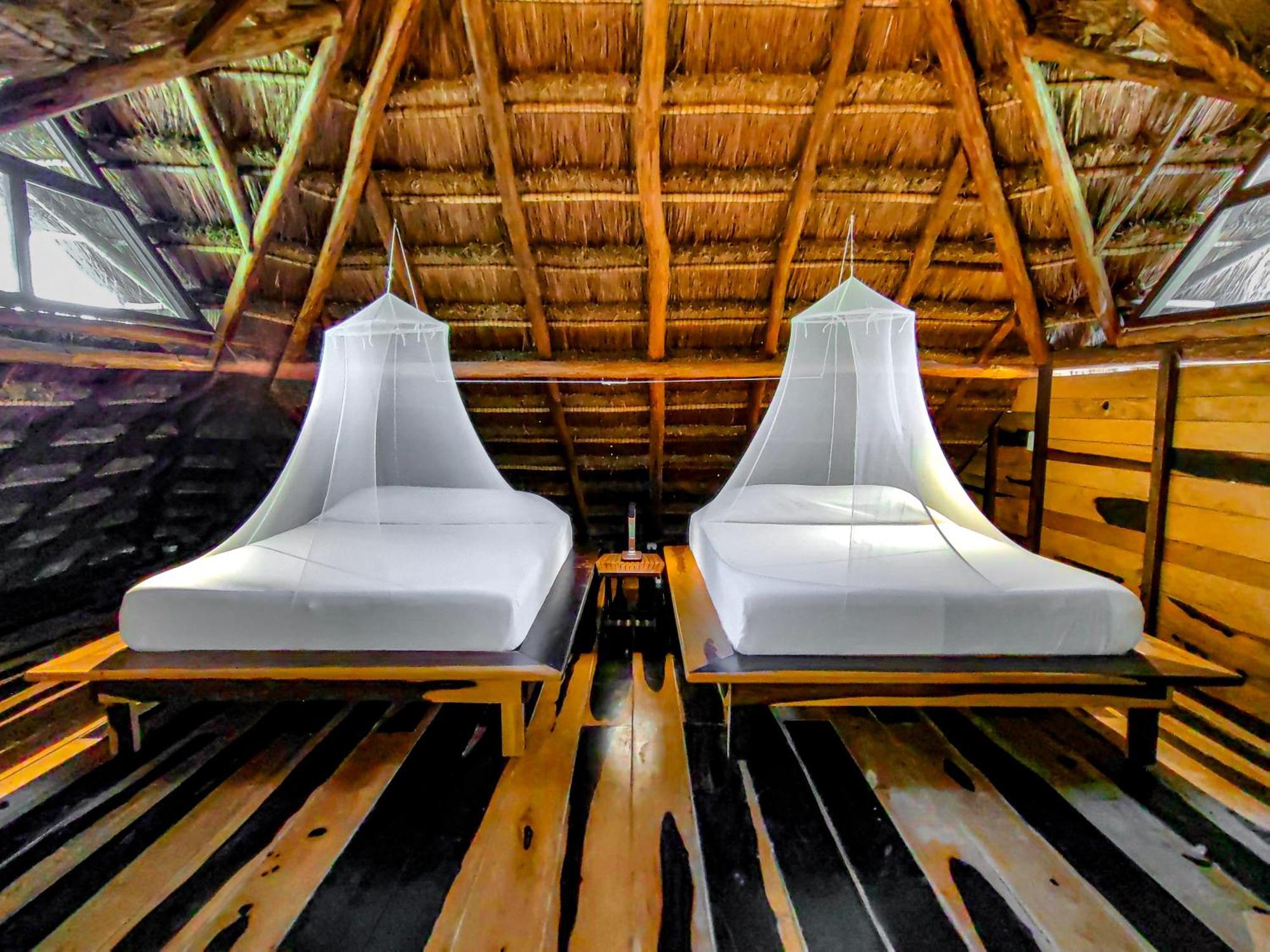 Campsite Treehouse H2ojos Tulum