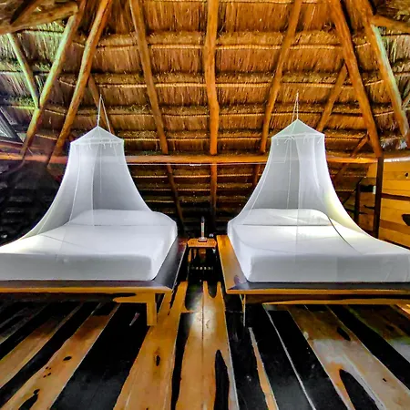 Treehouse Tulum H2Ojos Hotel Exterior photo